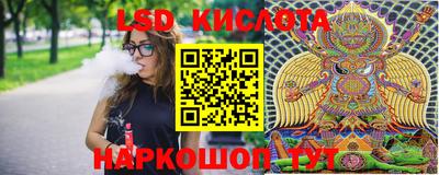 ГАЛЛЮЦИНОГЕННЫЕ ГРИБЫ Кулебаки